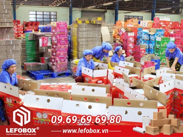 Thùng carton hỗ trợ quá trình xuất khẩu thanh long sang nước ngoài