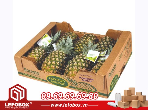 Thùng carton đựng dứa