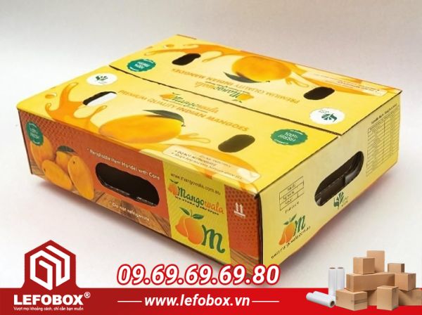 Thùng carton cũ Cần Giờ đựng xoài