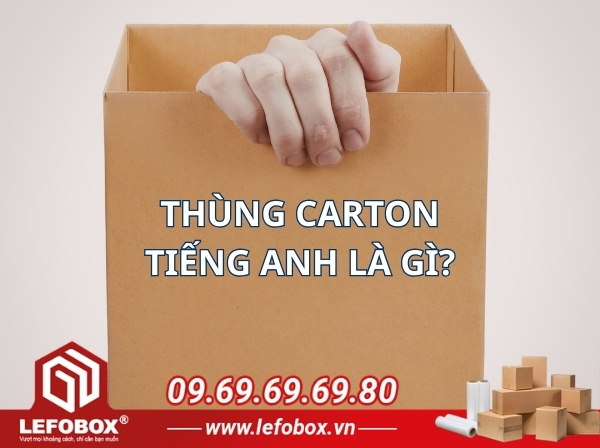 Thùng carton tiếng anh là gì?