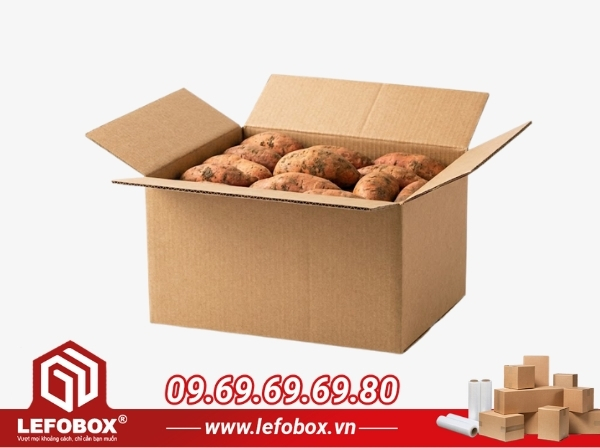 Thùng nâu kraft trơn là lựa chọn phổ biến nhất cho thị trường nội địa và xuất Trung Quốc.