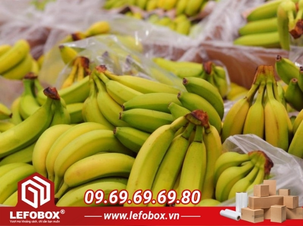 Tiềm năng phát triển của ngành xuất khẩu chuối