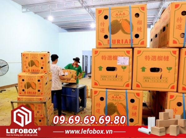 Xếp chồng thùng carton giúp tối ưu chi phí và không gian vận chuyển